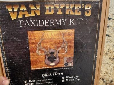 NEW deer anter taxidermy kit