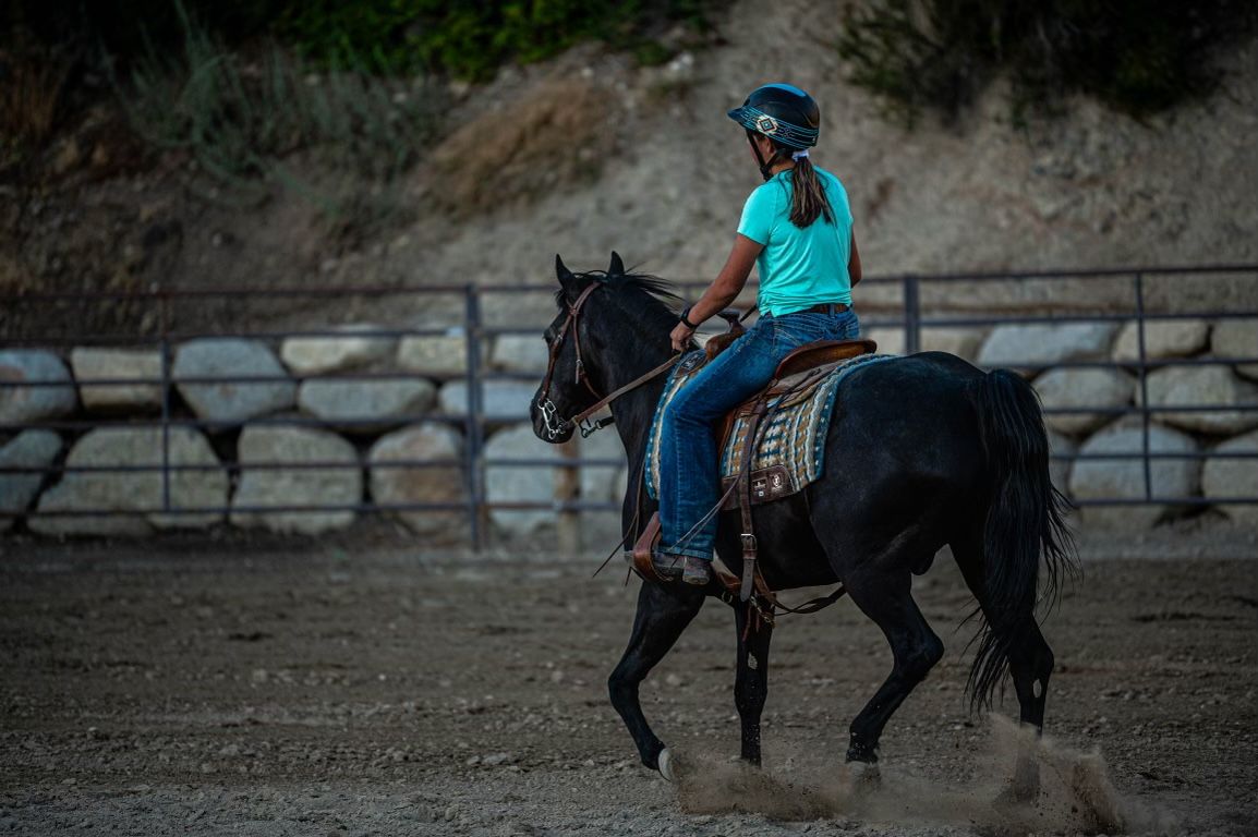 Horse trainer