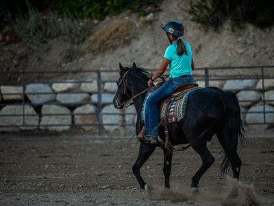 Horse trainer