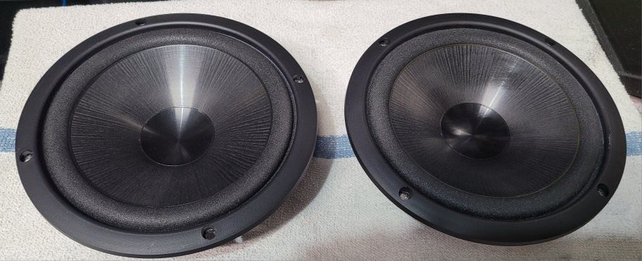 8 inch bass radiators (pair)