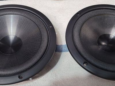 8 inch bass radiators (pair)