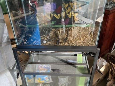 Double Aquariums With Metal Stand