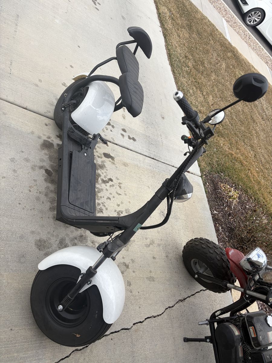 Dumber e-bike. Lloyd Model