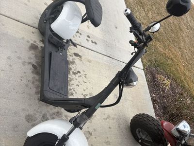 Dumber e-bike. Lloyd Model