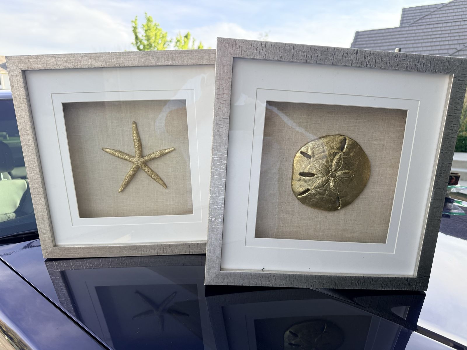 Gorgeous wall art - gold seashells in silver frame