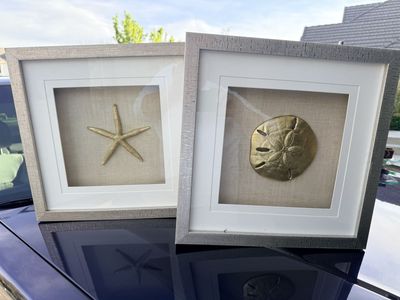 Gorgeous wall art - gold seashells in silver frame