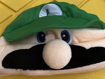 Super Mario Luigi Hat