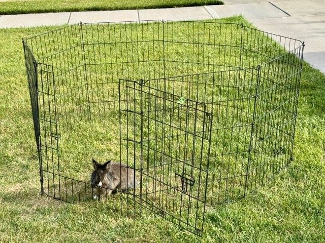 8-Panel Metal Pet Exercise Pen (30" Tall)