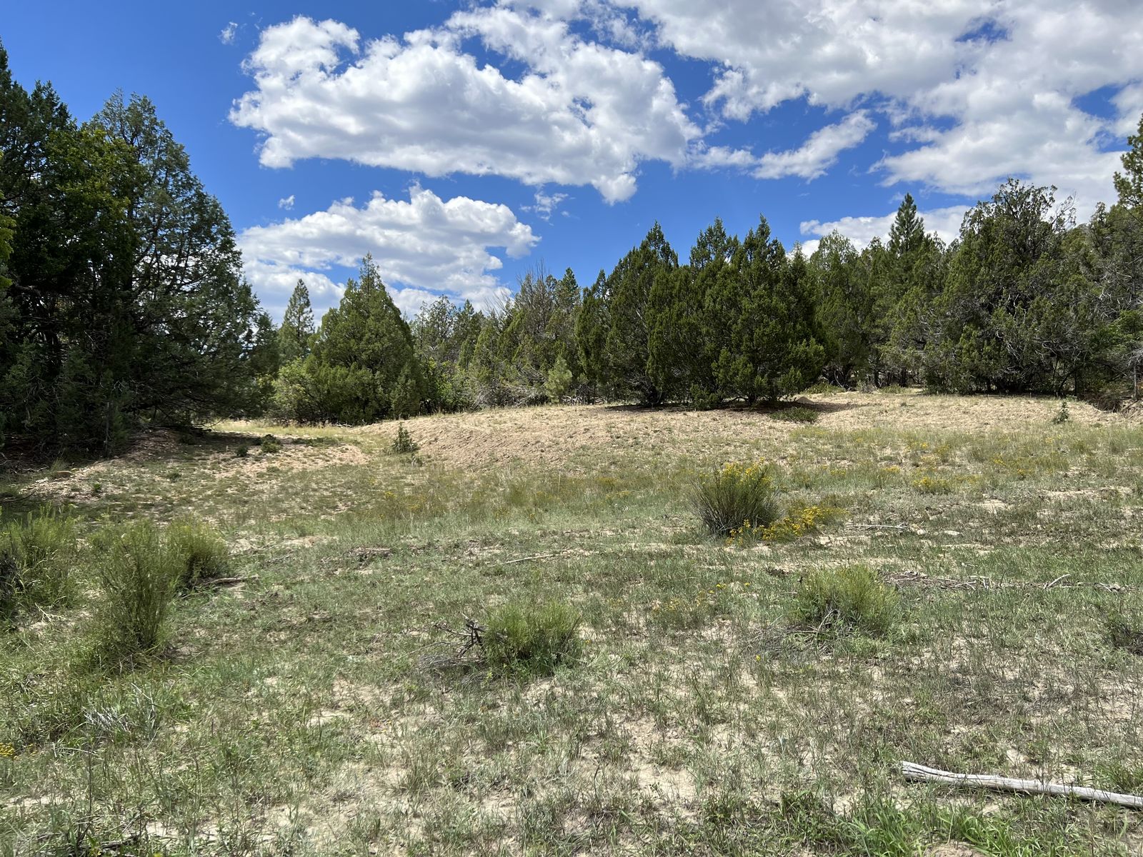 Main image 7