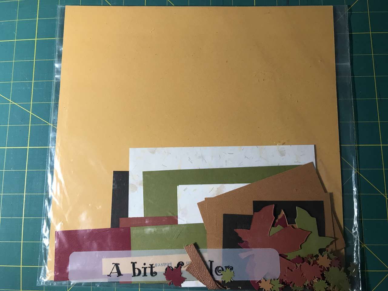 A bit of color 2 - 12” x 12” Scrapbook Pages Kit Precut Need Glue and Photos