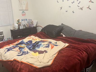 King bed mattress with Metal Black Frame