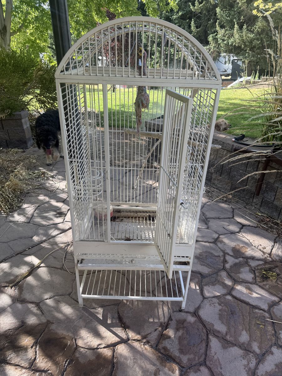 Large bird cage