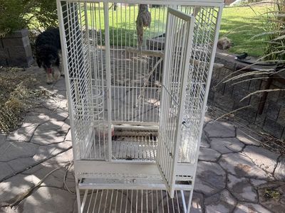 Large bird cage