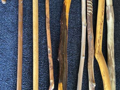 Various Walking Sticks and Canes