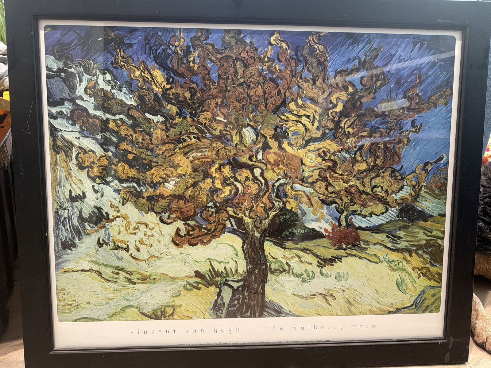 Free framed Van Gogh print