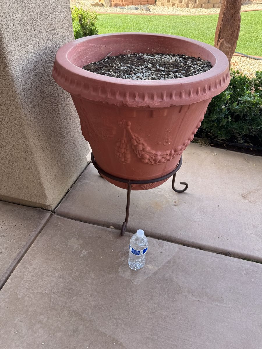 FREE Large Terra Cotta Planter (with Stand)