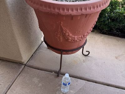 FREE Large Terra Cotta Planter (with Stand)