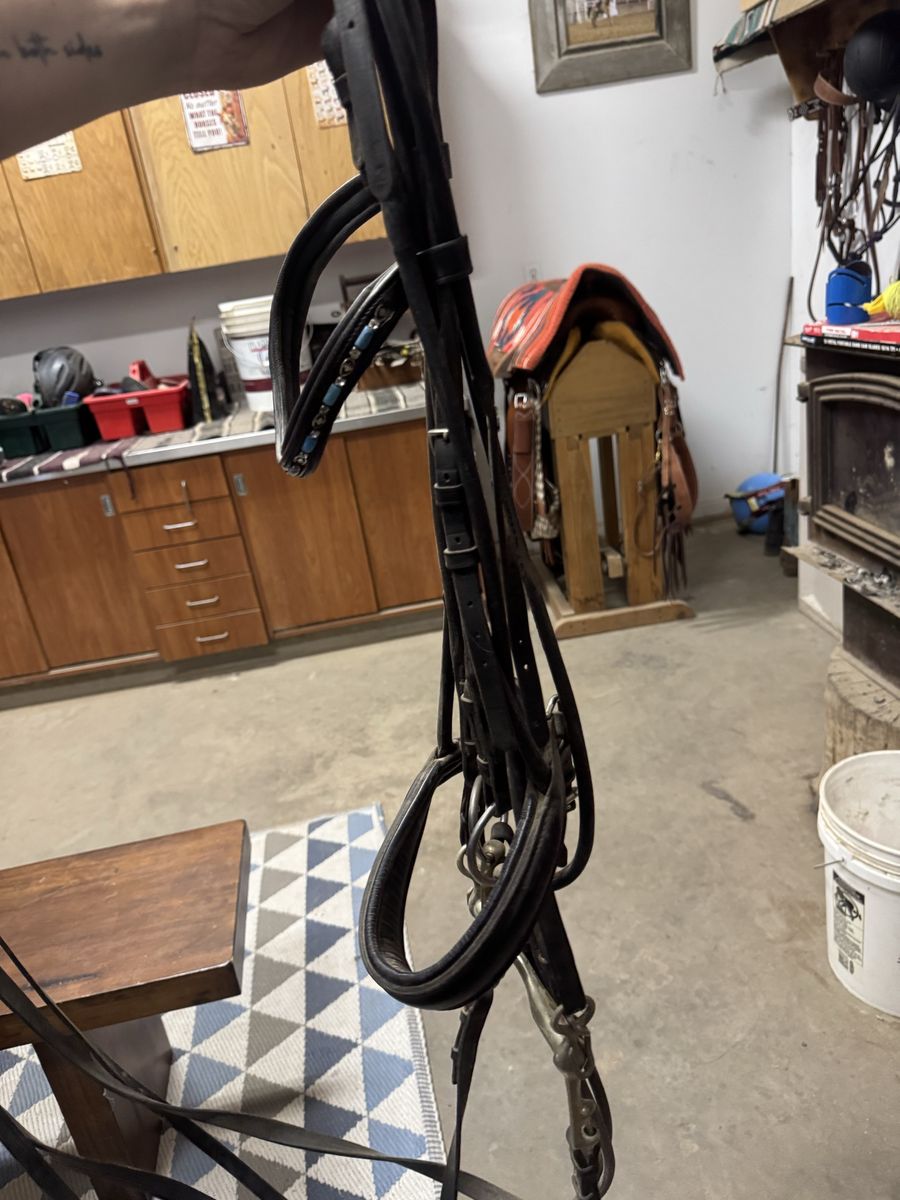 Warm blood sized double bridle