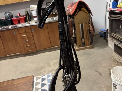 Warm blood sized double bridle