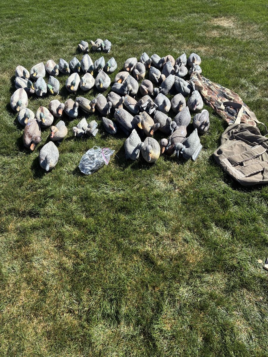 58 Duck Decoys + Bag & Weights 🦆