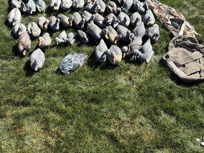 58 Duck Decoys + Bag & Weights 🦆
