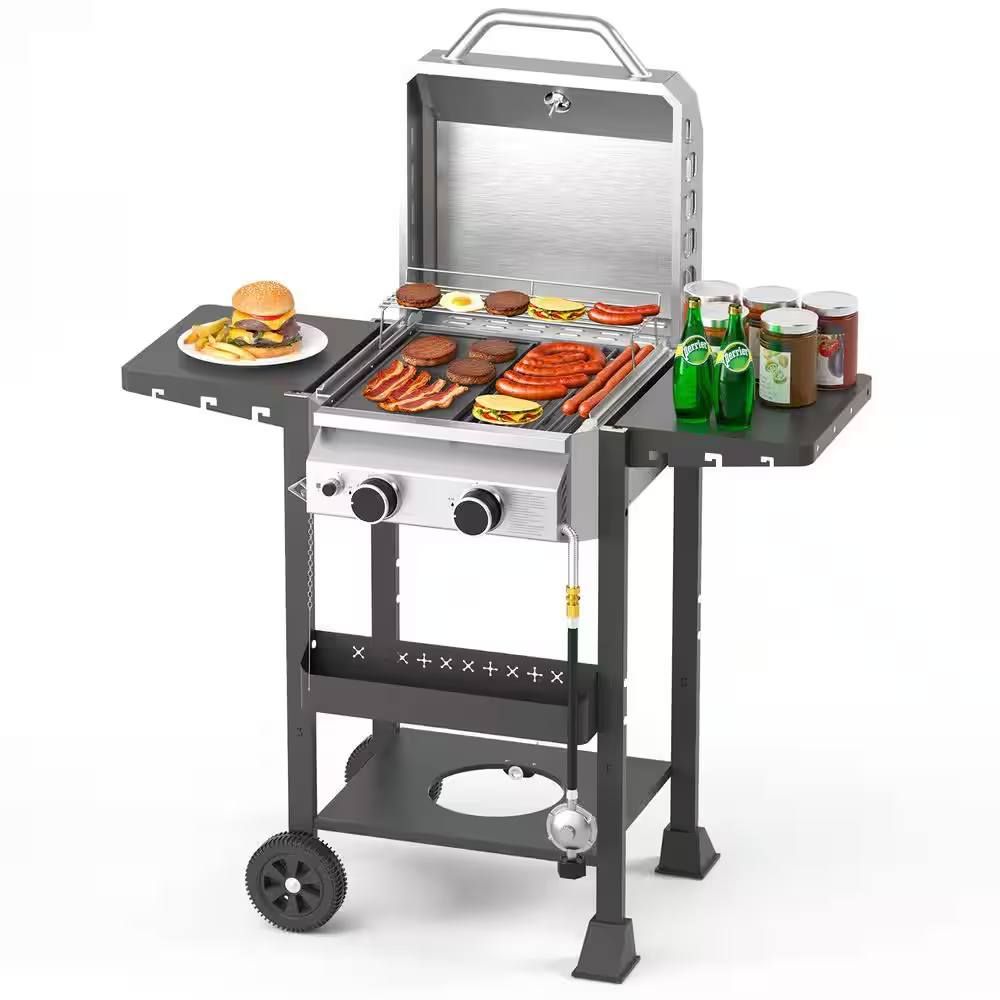 2-burner stainless steel propane gas grill