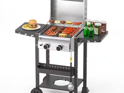2-burner stainless steel propane gas grill