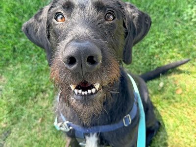 Hello my name is Zuko