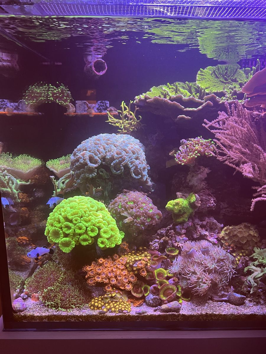 Main image 6