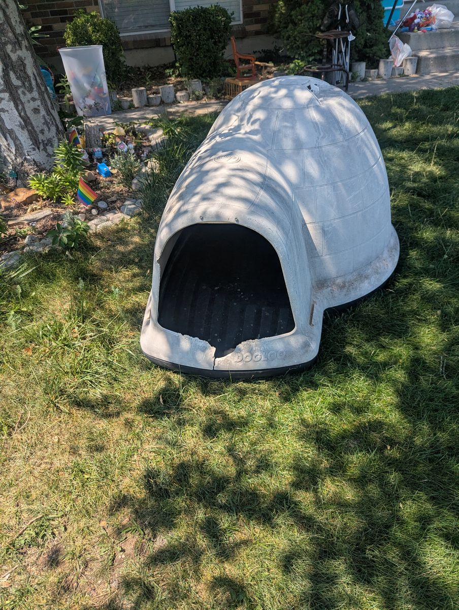 Free large dog igloo