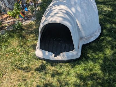 Free large dog igloo