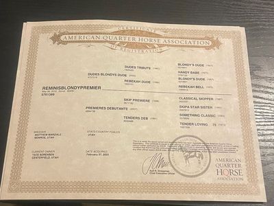 QUARTER HORSE MARE FOR SALE!!!