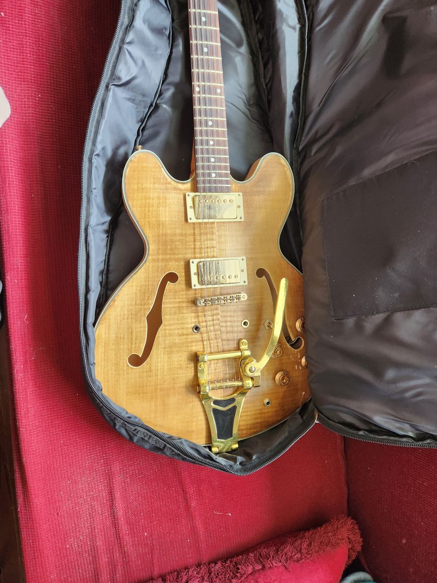 Jazz electric guitar, hollow, with stand, super nice bag, and power chord.