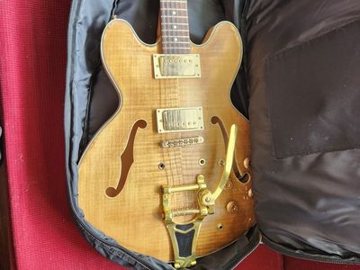 Jazz electric guitar, hollow, with stand, super nice bag, and power chord.