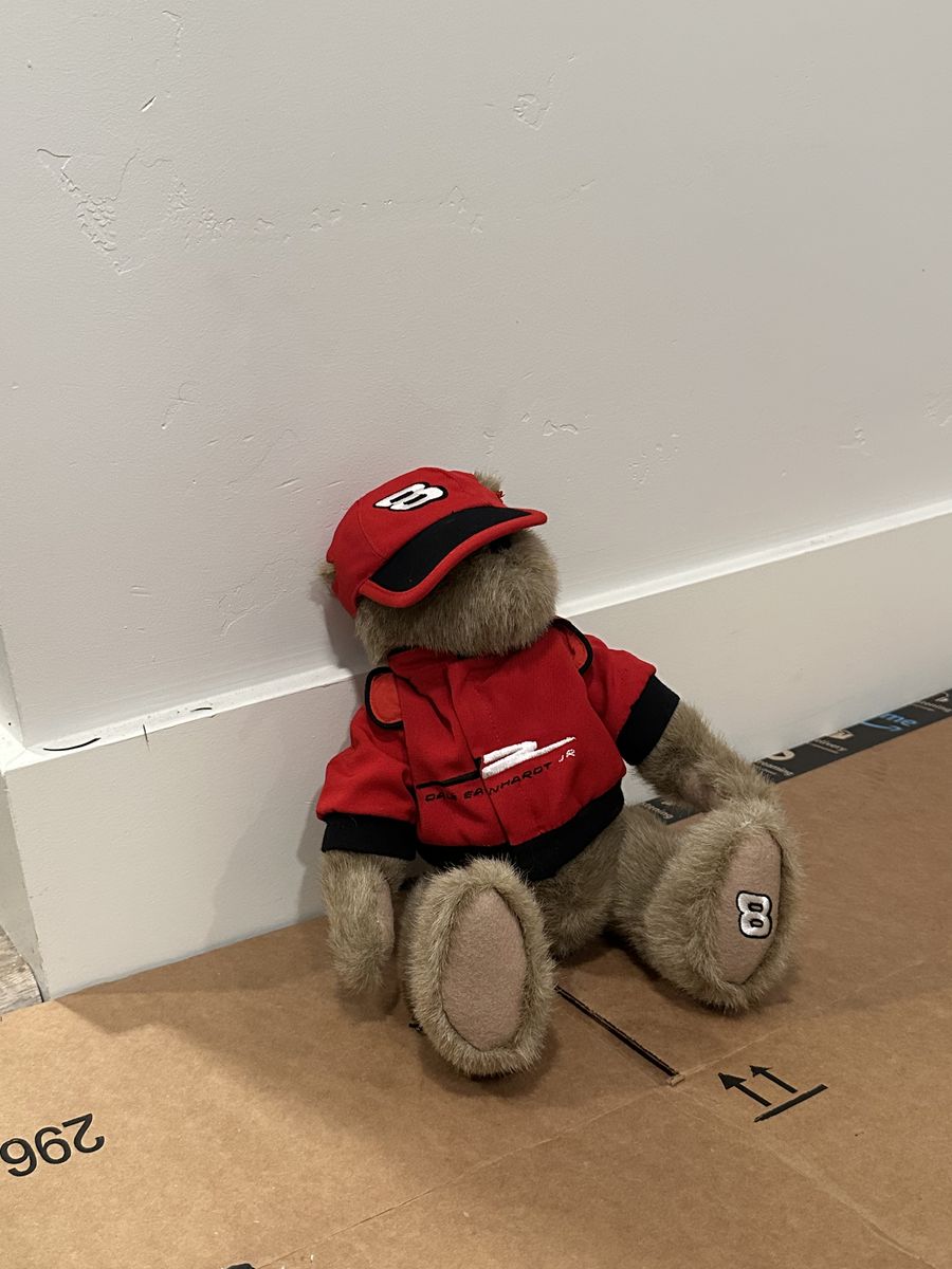 Dale Earnhardt Jr Teddy Bear