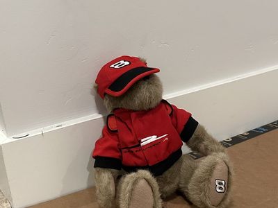 Dale Earnhardt Jr Teddy Bear