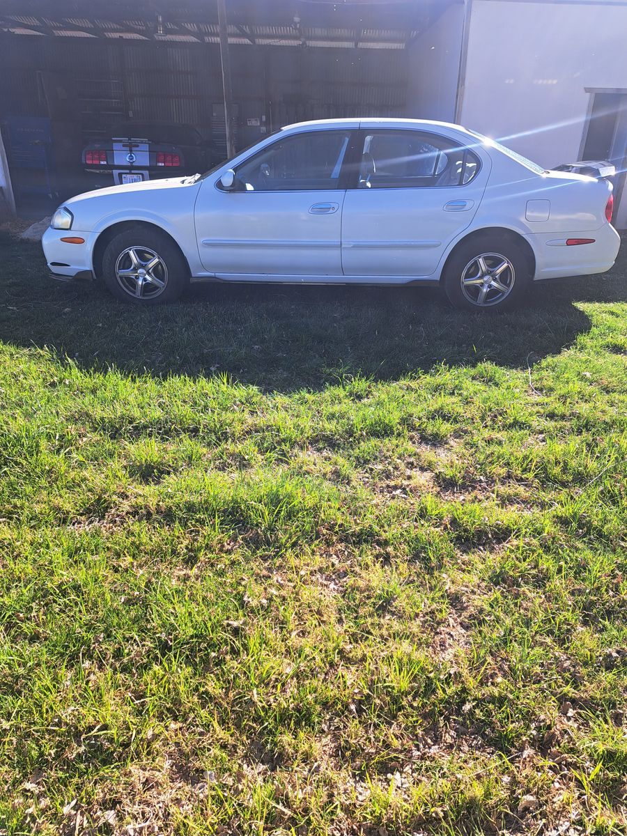 2001 NISSAN MAXIMA SE 20th Anniversary
