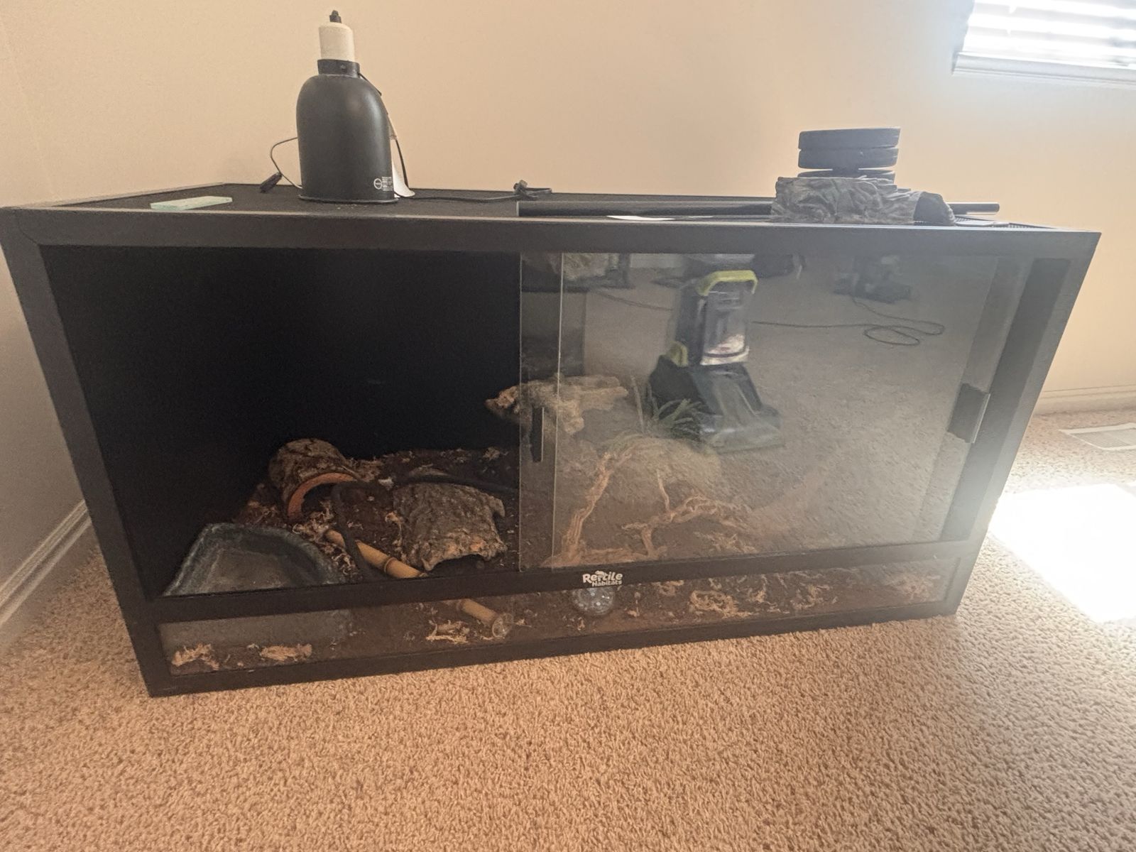 Snake Enclosure