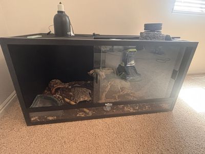 Snake Enclosure
