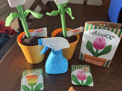 Melissa & Doug “Flower Growing” Toy for Toddlers