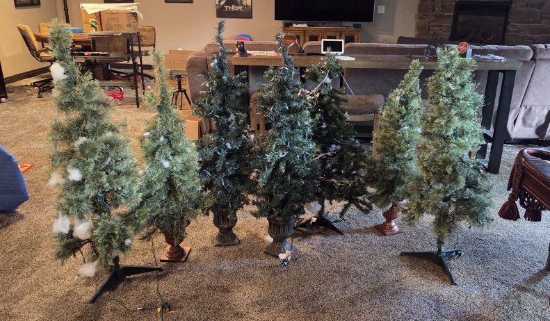 Christmas in May