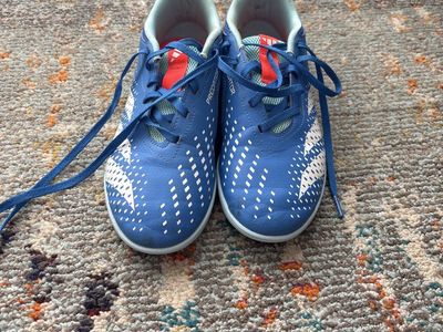 Size 5 1/2 Adidas Predator Indoor Soccer Cleats