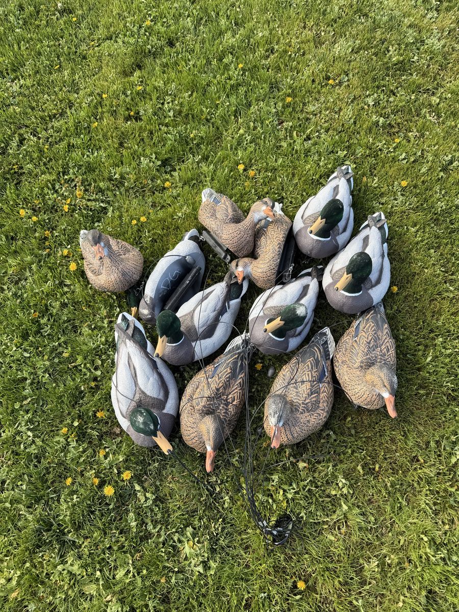 Dakota Packable Flocked Head Mallards