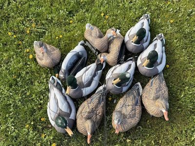 Dakota Packable Flocked Head Mallards