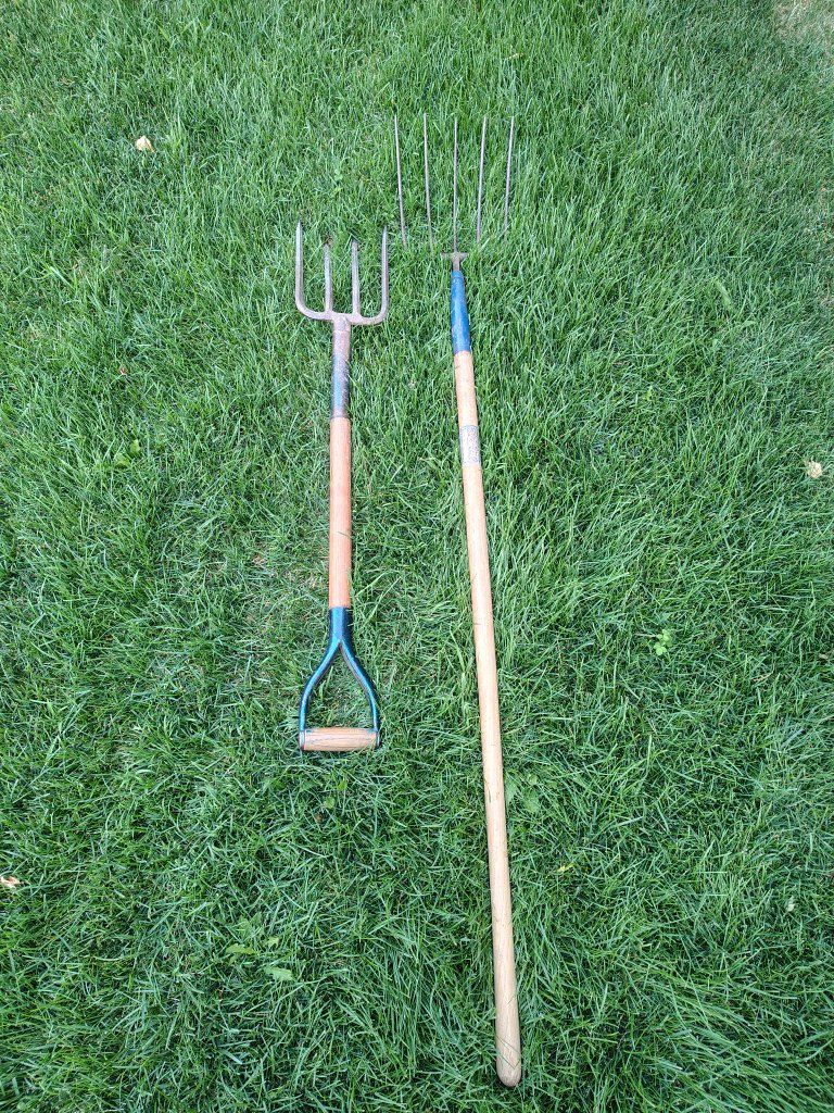Main image 4