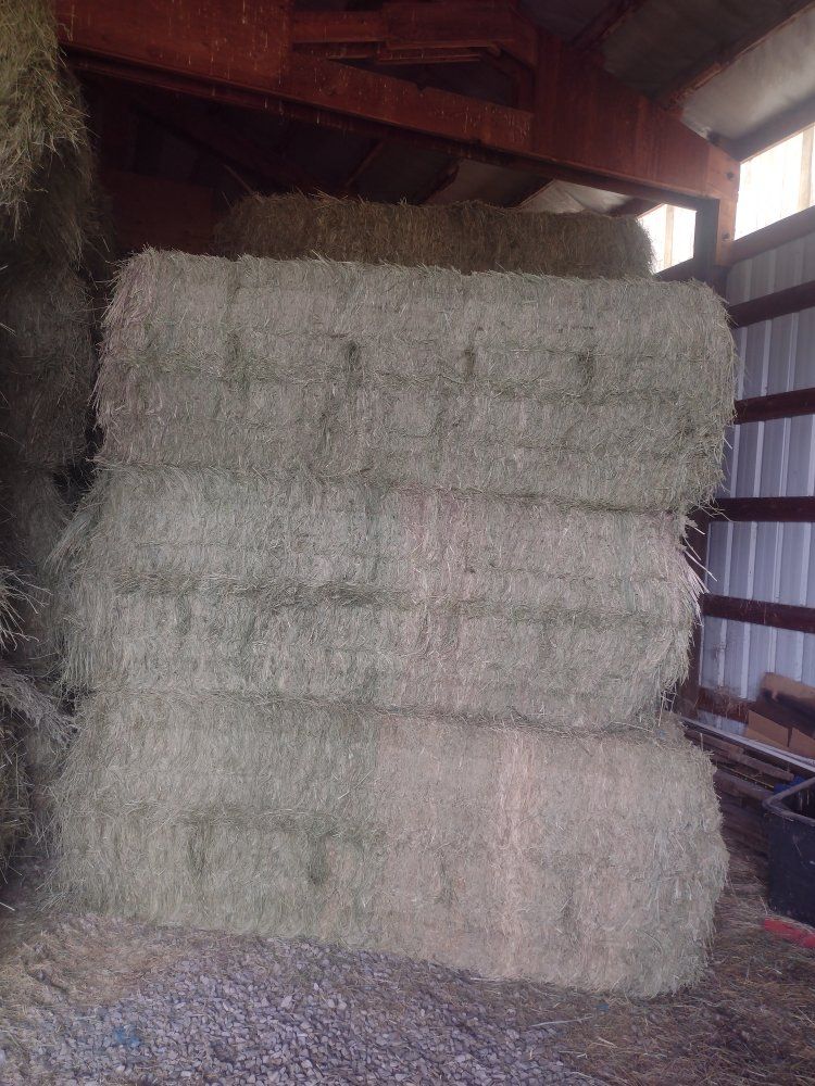 3x3x8 alfalfa/grass feeder hay