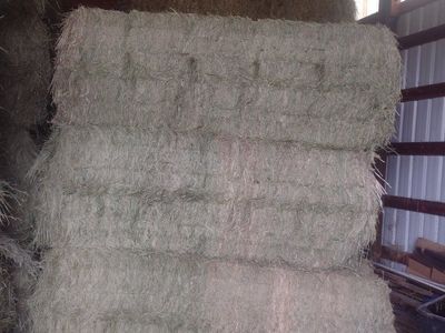 3x3x8 alfalfa/grass feeder hay