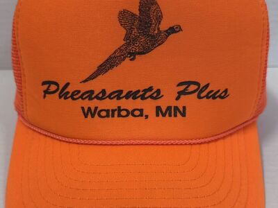 Vintage 80's Pheasants Plus Nissin Cap Snapback