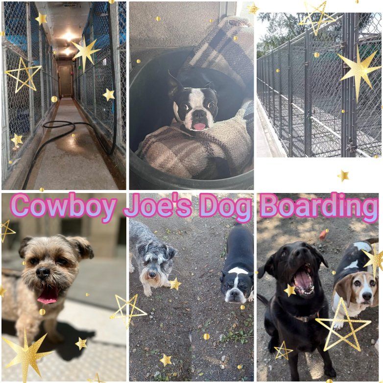 Cowboy Joe's Dog Boarding