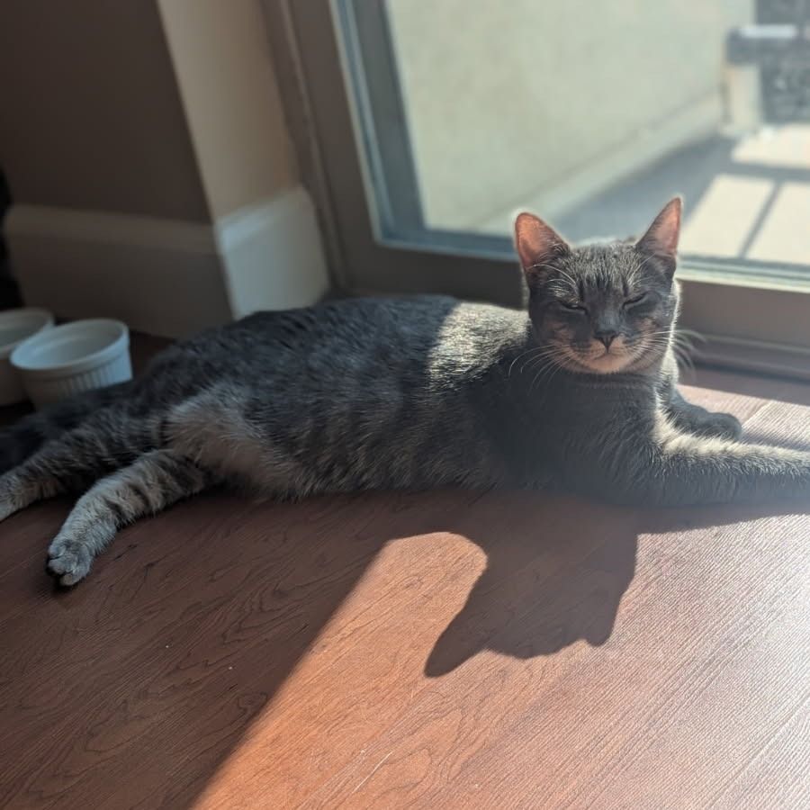 Hello my name is Mini
